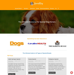 spanielking.com